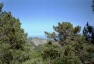 Korsika